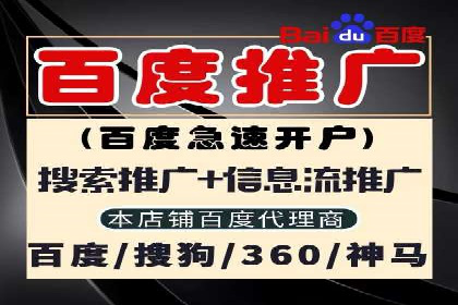 成功运用SEM服务实现品牌推广的案例分析
